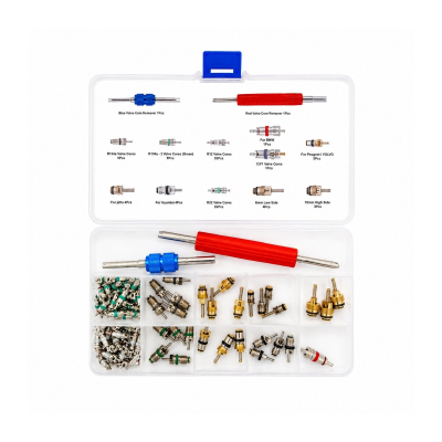 Set De 102 Ovulos Valvulas De Refrigeracion + Colocador