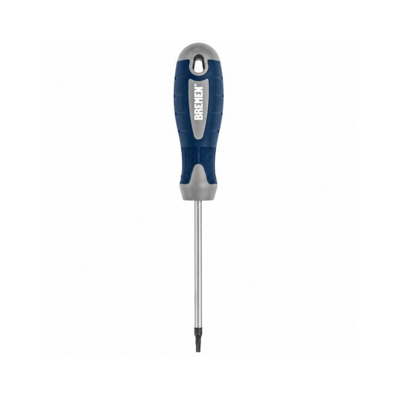 Destornillador Suelto Torx T40 Bremen