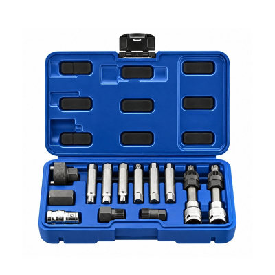 Kit Extractor De Alternadores 13 Piezas Bremen